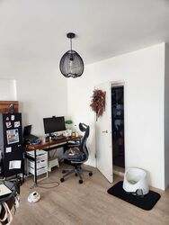 Blk 1C The Pinnacle@Duxton (Bukit Merah), HDB 4 Rooms #502496291